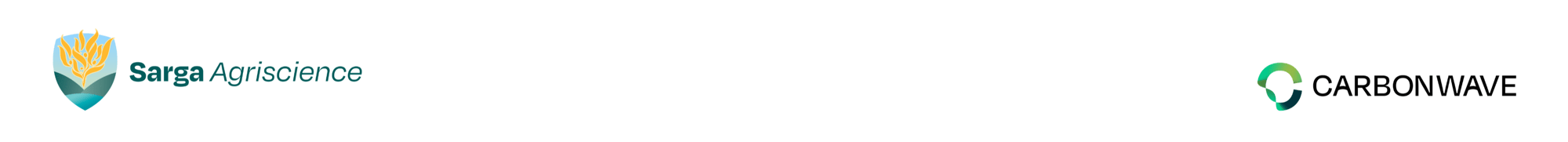 Professional LinkedIn Banner (1)-1